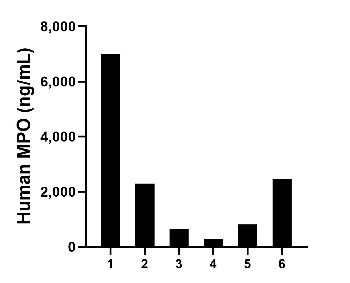 Urine of six individual healthy human donors was measured. The MPO concentration of detected samples was determined to be 2,249.9 pg/mL with a range of 294.1 - 6,991.1 pg/mL.